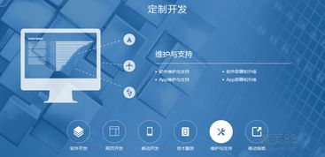 網站定制開發的意義